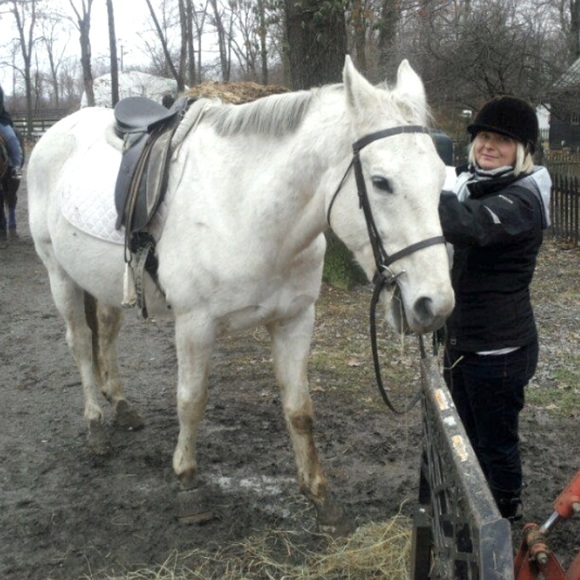 Meet your Posher, Saga - Picture 1 of 1